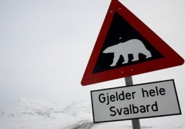 Sveriges farligaste djur